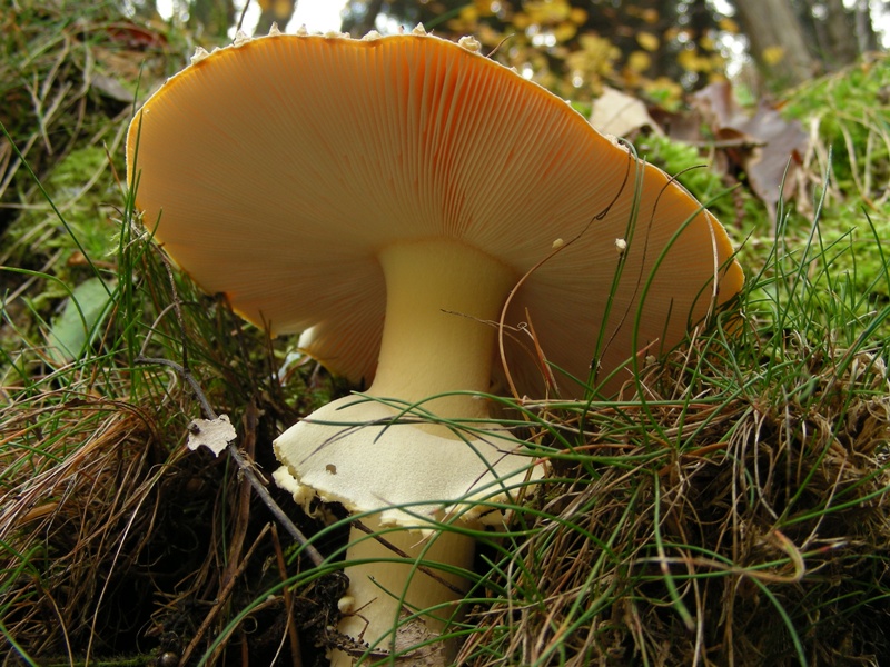 Escursione in riva al lago